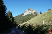 Automne2022015