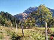 Automne2022176