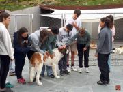 Camp-reflexion-GSB2307