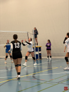 Volley2024-02