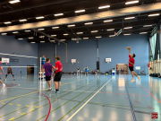 Volley2024-11